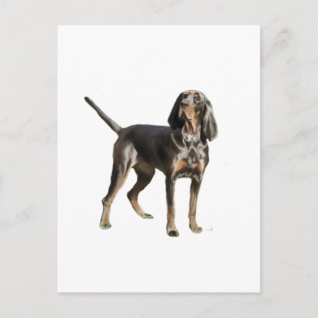Cartão Postal American Black and Tan Coon Hound (Frente)