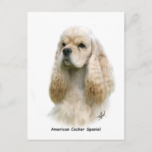 Cartão Postal American Cocker Spaniel 9Y244D-035