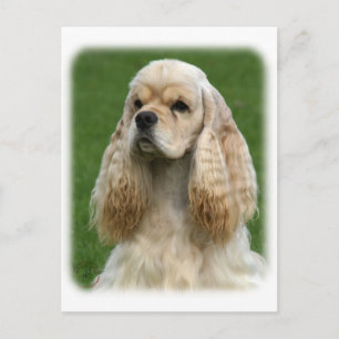 Cartão Postal American Cocker Spaniel 9Y244D-035_2