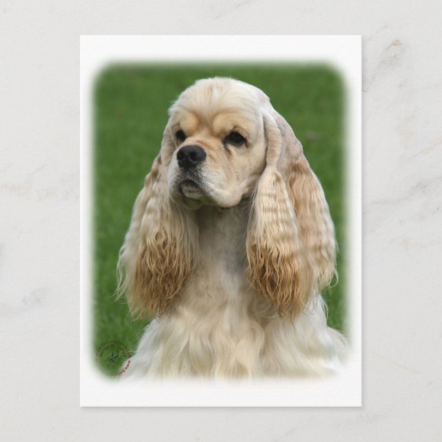 Cartão Postal American Cocker Spaniel 9Y244D-035_2 (Frente)