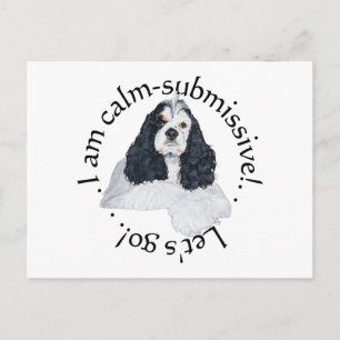 Cartão Postal American Cocker Spaniel Calmo Submisso