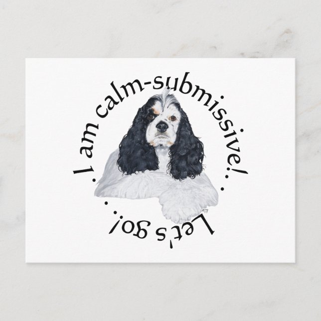 Cartão Postal American Cocker Spaniel Calmo Submisso (Frente)