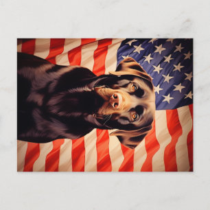 Cartão Postal American Flag Chocolate Labrador