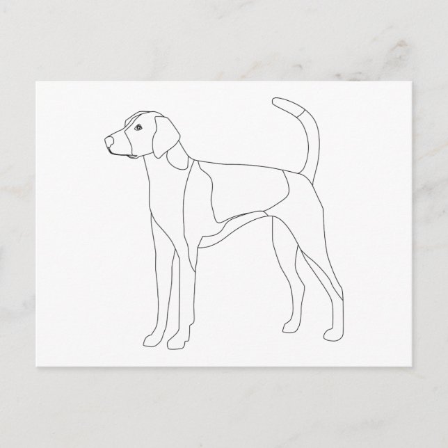 Cartão Postal American Foxhound Ready para colorir e personaliza (Frente)