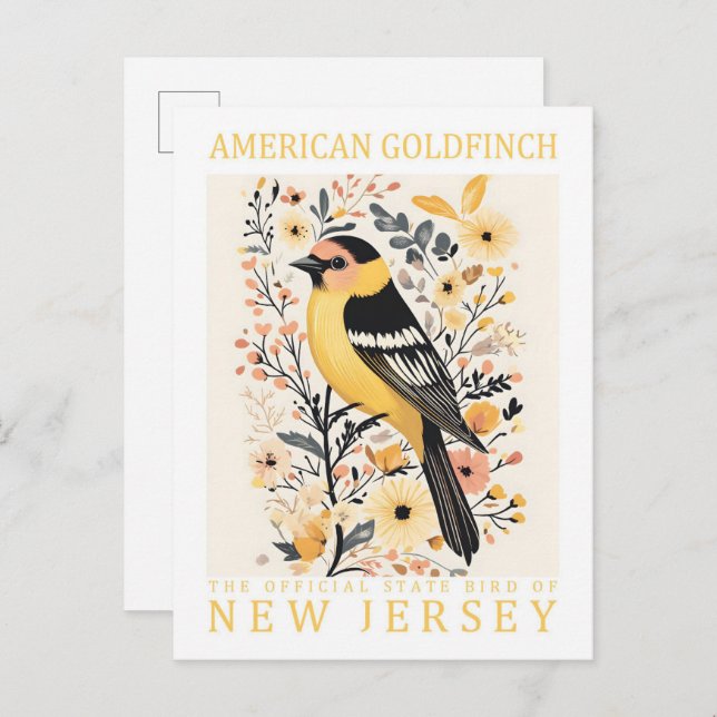 Cartão Postal American Goldfinch Bird de Nova Jersey EUA (Frente/Verso)
