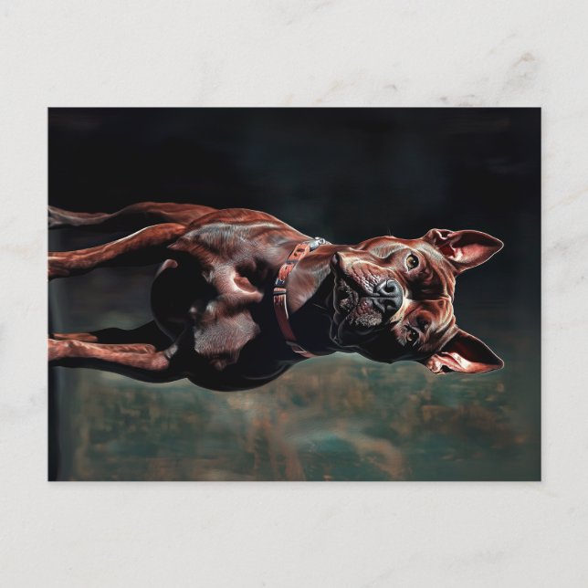Cartão Postal American Pit bull terrier (Frente)