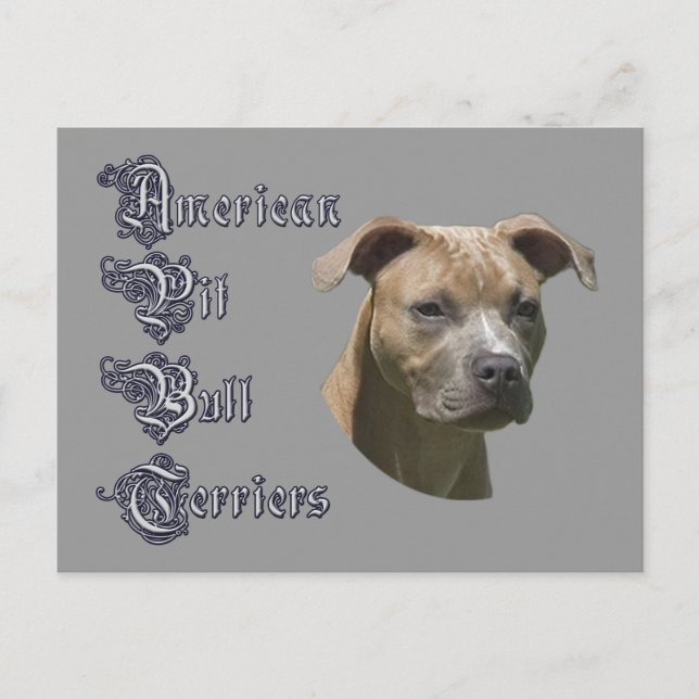 Cartão postal American Pit Bull Terrier (APBT) (Frente)