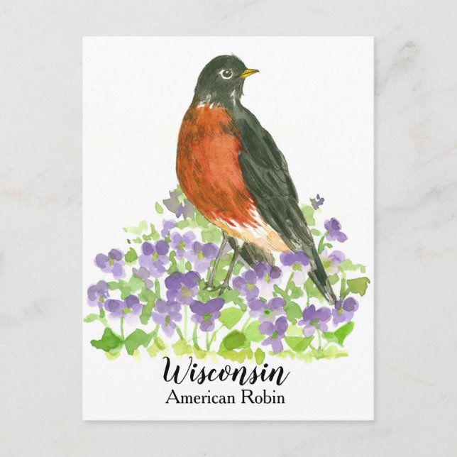 Cartão Postal American Robin State Bird de Wisconsin (Frente)