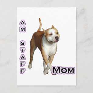Cartão Postal American Staffordshire Mãe 4
