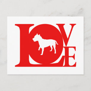 Cartão Postal American Staffordshire Terrier