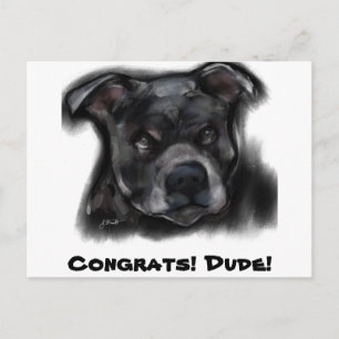 Cartão Postal American Staffordshire Terrier