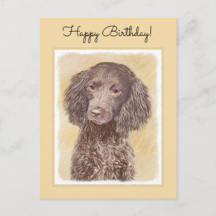 Cartão Postal American Water Spaniel Painting - Arte Original de