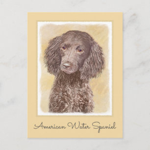 Cartão Postal American Water Spaniel Painting - Arte Original de