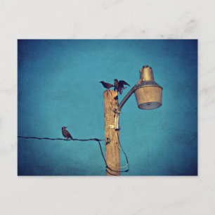 Cartão Postal Amidos