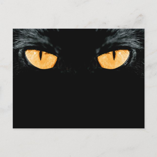 Cartão Postal amigo (Frente)