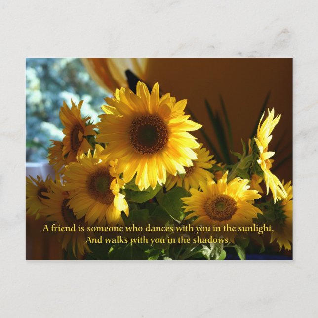 Cartão Postal Amigo (Frente)