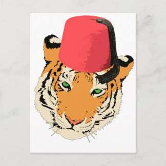 CARTÃO POSTAL AMIGO FEZ 2