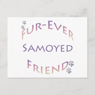 Cartão Postal Amigo para Sempre Samoyed