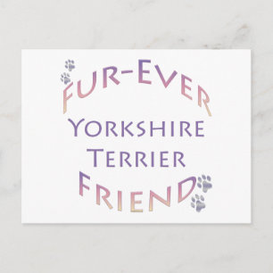 Cartão Postal Amigo para Sempre Yorkshire Terrier