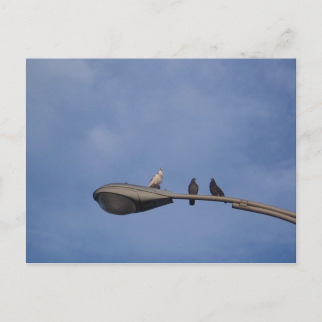 Cartão Postal amigos (Frente)