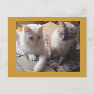 Cartão Postal Amigos alegres