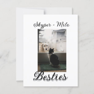 Cartão Postal Amigos animais companheiros adicionar nome foto an