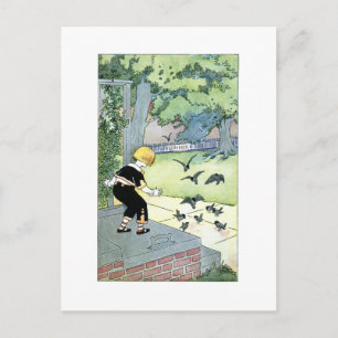 Cartão Postal Amigos de aves