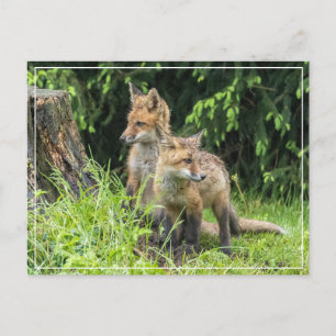 Cartão Postal Amigos do dia chuvoso