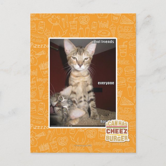 Cartão Postal Amigos do idiota (Frente)