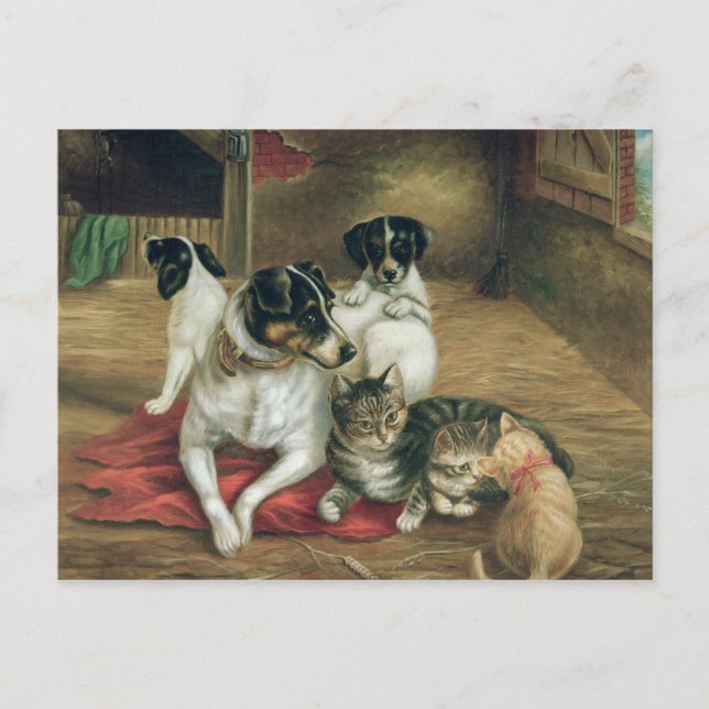 Cartão Postal Amigos estáveis (Frente)