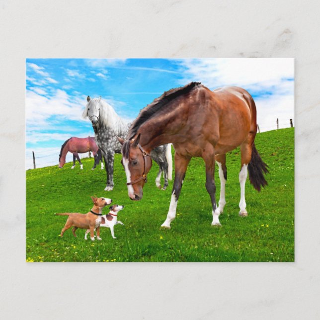 Cartão Postal "Amigos Fazeres" (Frente)