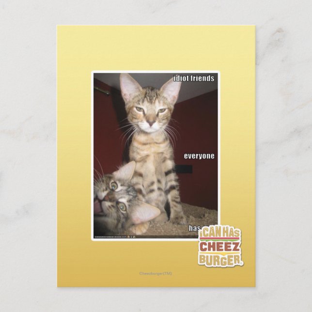 Cartão Postal Amigos Idiotas (Frente)