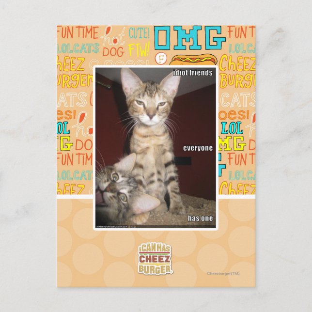 Cartão Postal Amigos Idiotas (Frente)