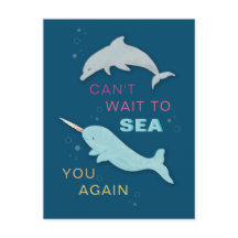 Amigos Narwhal de Golfinhos