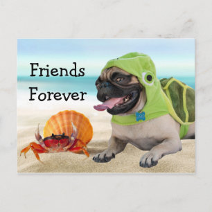 Cartão Postal Amigos para sempre: Caranguejo + Pug da tartaruga