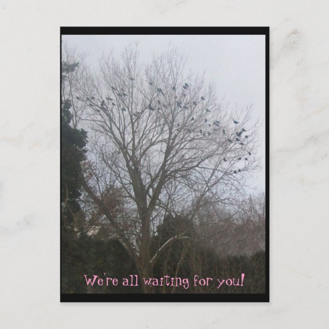 Cartão Postal amigos raven (Frente)