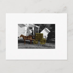 Cartão Postal amish