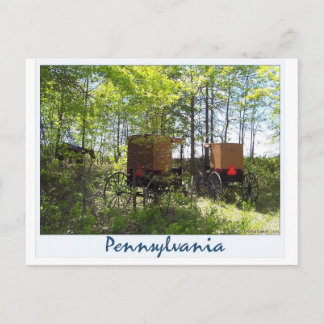 Cartão Postal Amish Buggies