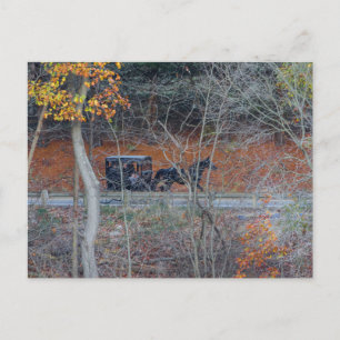 Cartão Postal Amish Buggy em uma estrada rural no outono, Ohio