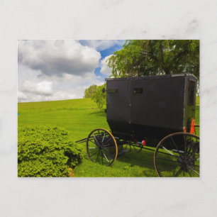 Cartão Postal Amish Buggy na Fazenda de Hillside