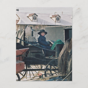 Cartão Postal Amish Child em Buggy-Postcard