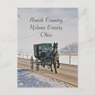 Cartão Postal Amish Country Horse and Buggy-Postcard