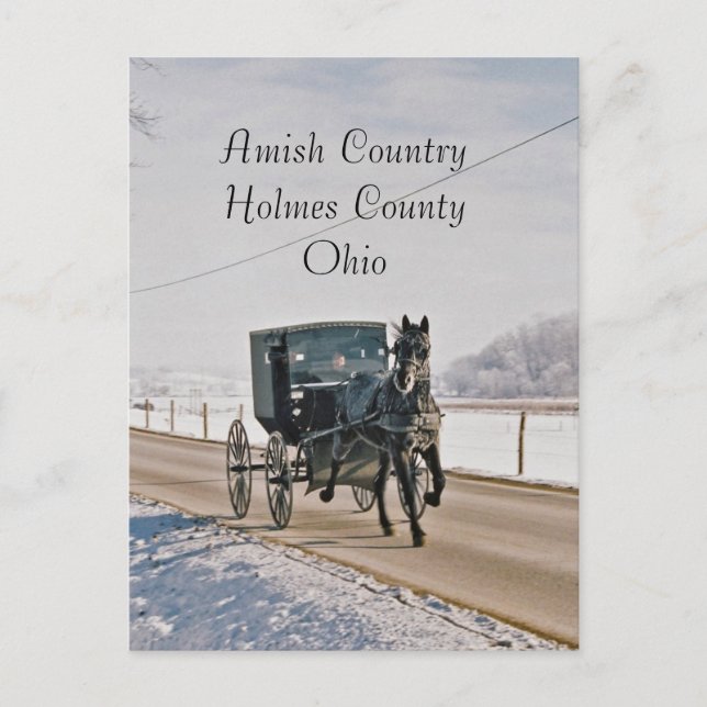 Cartão Postal Amish Country Horse and Buggy-Postcard (Frente)