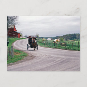 Cartão Postal Amish Country Road