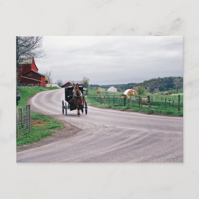 Cartão Postal Amish Country Road (Frente)