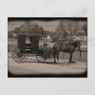 Cartão Postal Amish Country Sugarcreek, Ohio