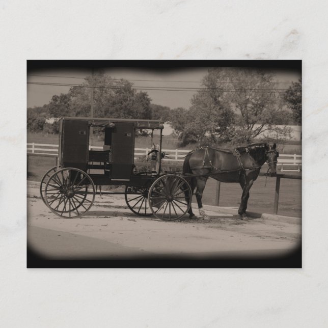 Cartão Postal Amish Country Sugarcreek, Ohio (Frente)