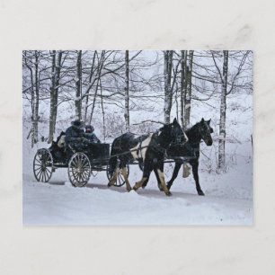 Cartão Postal Amish Country Winter Carriage Ride-Postcard