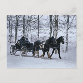 Cartão Postal Amish Country Winter Carriage Ride-Postcard