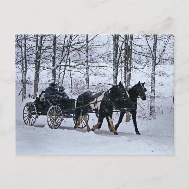Cartão Postal Amish Country Winter Carriage Ride-Postcard (Frente)